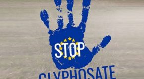 En finir avec le glyphosate en Europe ! Signez notre pétition